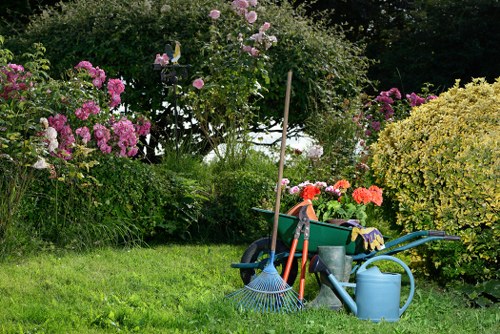 Stump grinding equipment working in a Peckham garden