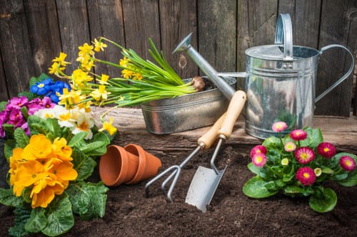 Ongoing accessibility improvements for Peckham tree surgery pages