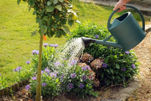 Final complaint resolution for tree surgeon services