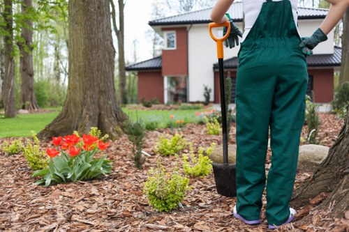 Tree surgeon assessing weather and site conditions for safety