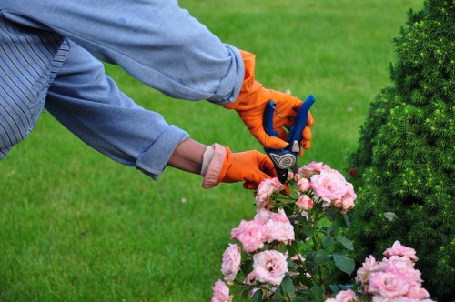 Audit and due diligence process for tree surgery supply chains